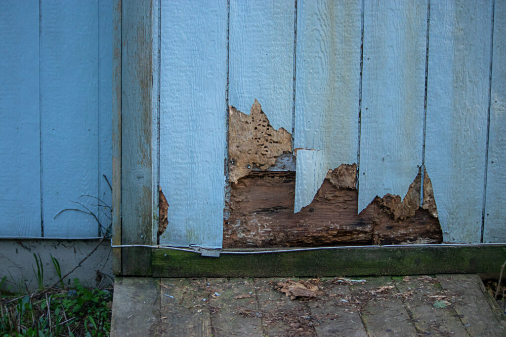 vinyl siding replacement
