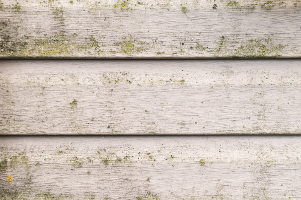 vinyl siding replacement